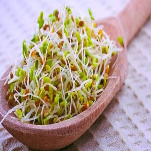  عکس جوانه مخلوط